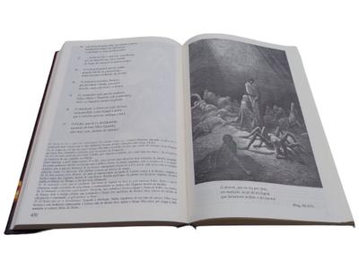 Livro - A Divina Comédia - Purgatório - Livros de Literatura - Magazine  Luiza