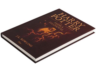 Livro - Harry Potter e o Cálice de Fogo - Livros de Literatura Infantil -  Magazine Luiza