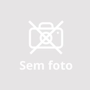 Cueiro Flanelado Estampado Neutro Cores Sortidas 03 unidades Bercinho 1,00x80 Incomfral