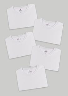 Kit Com 5 Camisetas Masculinas Básicas - Hering