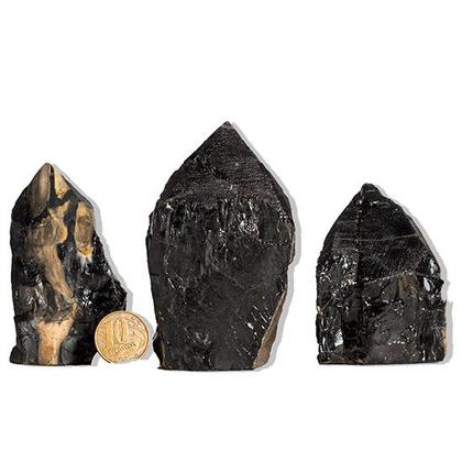 Imagem de 01 Ônix Preto Pé e Bico Serrado 100 a 200g 5 a 10cm Tipo B