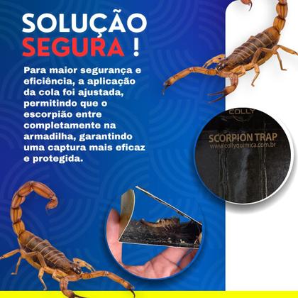 Imagem de 05 Unid Armadilha Adesiva Escorpião Barata Aranha  Colly Scorpion Trap