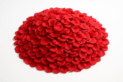 Imagem de 1.000 Pétalas De Rosas Artificiais Domus Vita Casamento Noivas Cor Vermelho Decoração