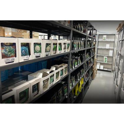 Imagem de 1.000 SEMENTES Melancia Híbrida Red Quality