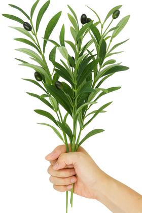 Imagem de 1 haste Galho Planta Artificial oliveira Olivas Verde 45cm