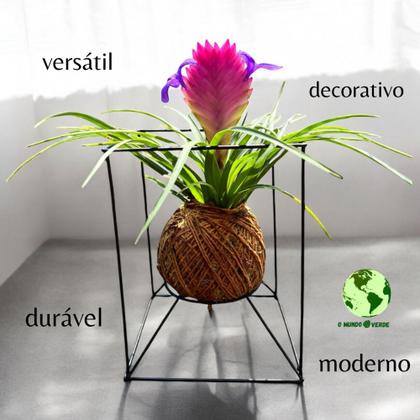 Imagem de 1 Suporte Aramado Preto Para Plantas Kokedamas E Suculentas