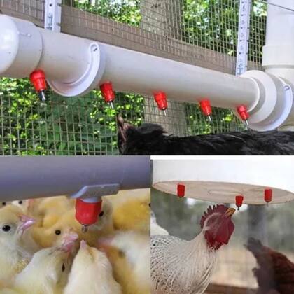 Imagem de 10 Bebedouro Automático Aves Galinha Frango Codorna Niple