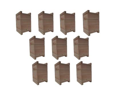 Imagem de 10 Caixas Inpa Abelhas Sem Ferrão Eucalipto 15x15