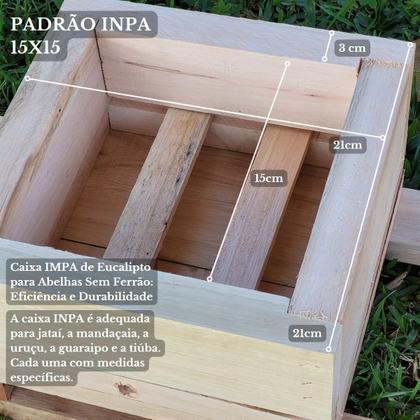 Imagem de 10 Caixas Inpa Abelhas Sem Ferrão Eucalipto 15x15