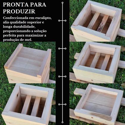 Imagem de 10 Caixas Inpa Abelhas Sem Ferrão Eucalipto 15x15