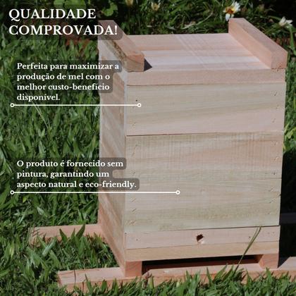Imagem de 10 Caixas Inpa Abelhas Sem Ferrão Eucalipto 15x15