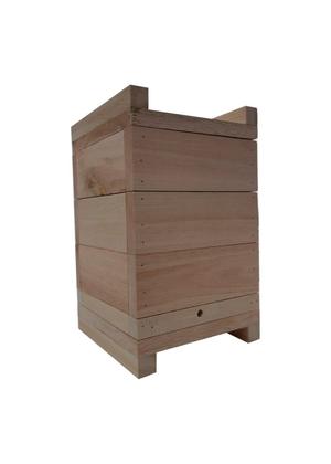 Imagem de 10 Caixas Inpa Abelhas Sem Ferrão Eucalipto 18x18