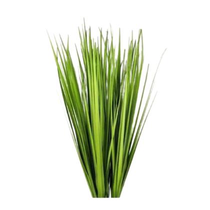 Imagem de 10 Planta Artificial Buquê Folhagem Verde de Capim 60cm