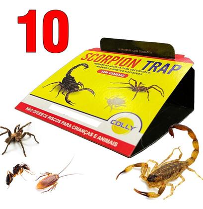 Imagem de 10 Unid Armadilha Escorpião Barata Aranha  Scorpion Trap Colly