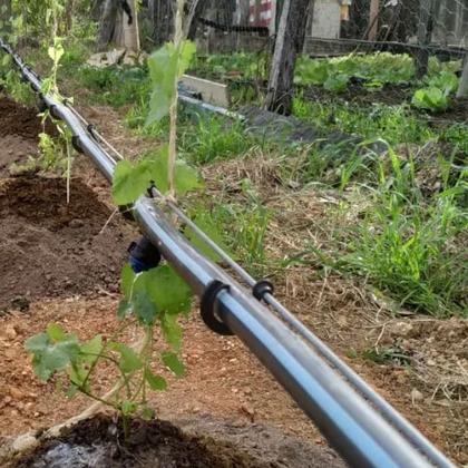 Imagem de 100 Ganchos de Fixação Mangueira Gotejadora 16mm- Irritec