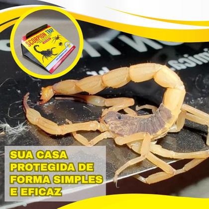 Imagem de 100 Unid Armadilha Para Escorpião Aranha Barata  Scorpion Trap Colly