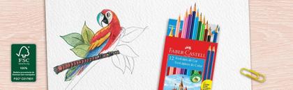 Imagem de 12 Lápis de Cor Ecolápis Faber Castell