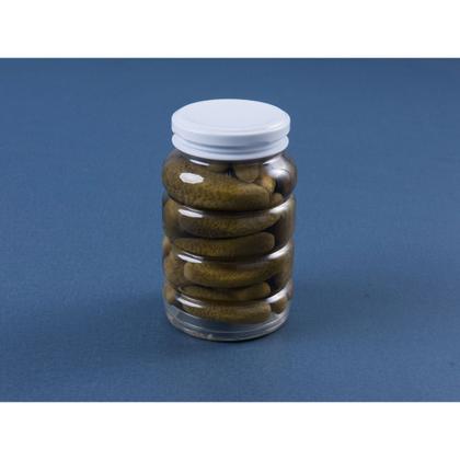 Imagem de 12 Potes para Conservas 550ml Plástico Tampa Alumínio G2500 Galvanotek