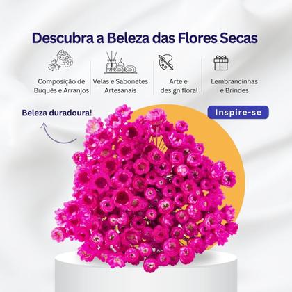 Imagem de 1200 Sempre Viva Florzinha Pink I Flores Desidratadas