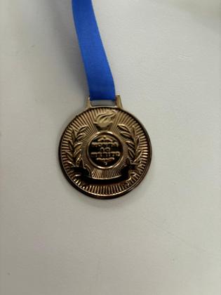 Imagem de 15 Medalhas Honra ao Mérito 3,4cm Ouro Prata Bronze com fita