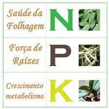 Imagem de 1kg adubo npk 101010/10-10-10 adubo fertilizante para flores e frutos.