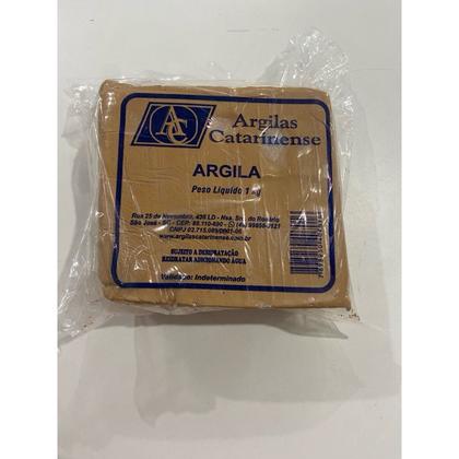 Imagem de 1kg Argila Natural Modelar Artesanato Escultura Escolar Catarinense