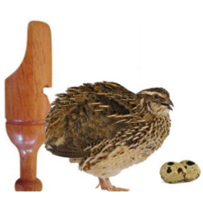 Imagem de 2 Apitos Premium Grilo e Apito Profissional Madeira Codorna