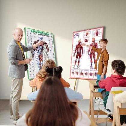 Imagem de 2 Mapas de Anatomia Humana Dobrados: Sistema Muscular + Principais Músculos e Exercícios