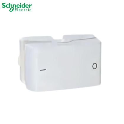 Imagem de 2 Módulo Interruptor Bipolar Paralelo 10a - Schneider - 10 A - 250v - Branco