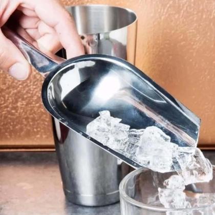 Imagem de 2 Pás de Gelo Inox 24cm Pegador a Granel Cereal Sementes ou Ração Attuale Plasvale