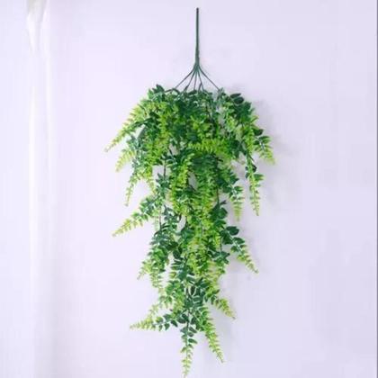 Imagem de 2 Pendentes De Samambaia Jardim Vertical Folhagem Planta