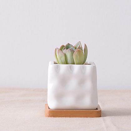 Imagem de 2 Petisqueiras de Bambú Porta Vasos ou Petiscos Decoração