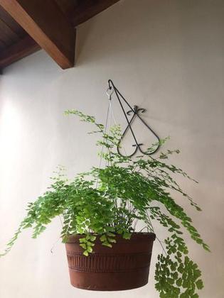 Imagem de 2 Suportes Parede 25cm P/ Pendurar Plantas Pendente Coração