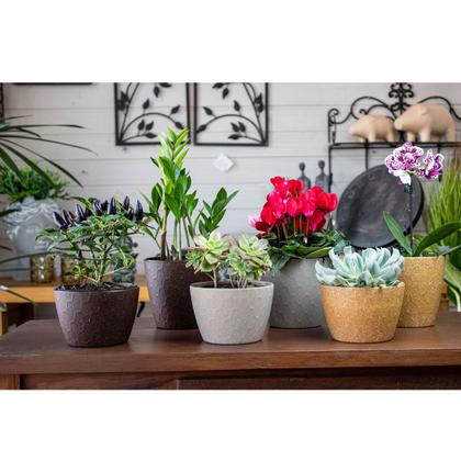 Imagem de 2 un Vaso plantas colmeia decorativo flor G MARROM CLARO