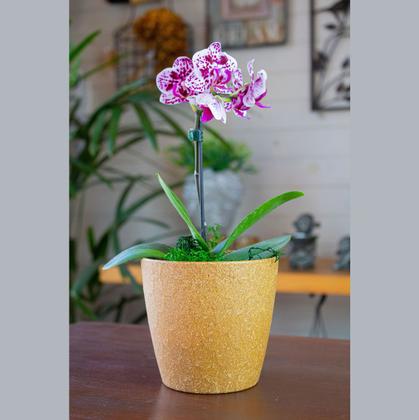 Imagem de 2 un Vaso plantas colmeia decorativo flor G MARROM CLARO