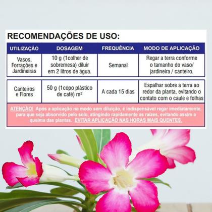 Imagem de 2 Unidades Adubo Fertilizante Mineral Forth Rosa Do Deserto 400g