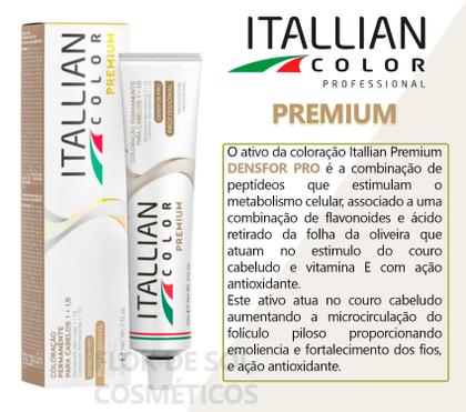 Imagem de 2 Unidades Coloração Itallian Color 9.13 Louro Claríssimo Cinza Dourado