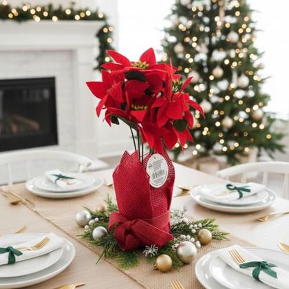 Imagem de 2 Vasos Juta Vermelho Bege Decoração Natal Casa Bege Juta Juta Vermelho