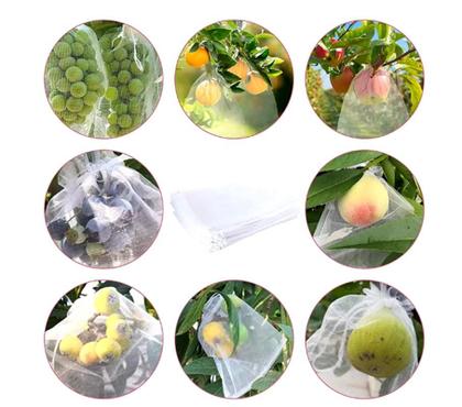 Imagem de 20 Saquinhos organza 20x30 Ideal para proteger frutas no pé