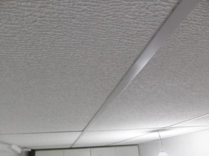 Imagem de 25 Placas De Isopor 10Mm (1Cm) 1000x500mm (COMPRE 1 KIT POR VEZ)