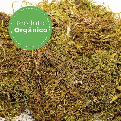 Imagem de 2Kg Musgo Verde Desidratadas Decoração Arranjos Flores