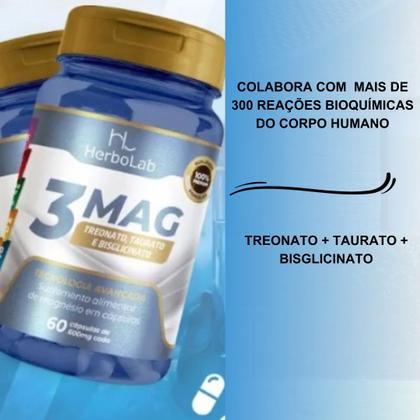 Imagem de 3 Magnésios Treonato Taurato  Bisglicinato Alta Concentração