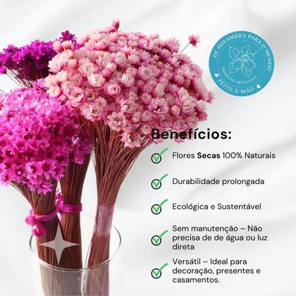Imagem de 3 Sempre Vivas Florzinha Tons De Rosa I Flores Desidratadas