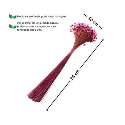 Imagem de 3 Sempre Vivas Florzinha Tons De Rosa I Flores Desidratadas