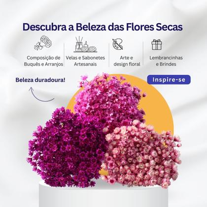 Imagem de 3 Sempre Vivas Florzinha Tons De Rosa I Flores Desidratadas