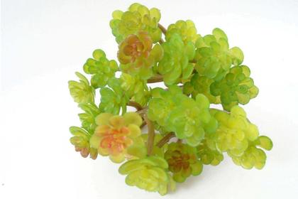 Imagem de 3 suculentas delicadas silicones 13cm planta artificial bonsai decoração enfeites não acompanha vaso - DE8863VD