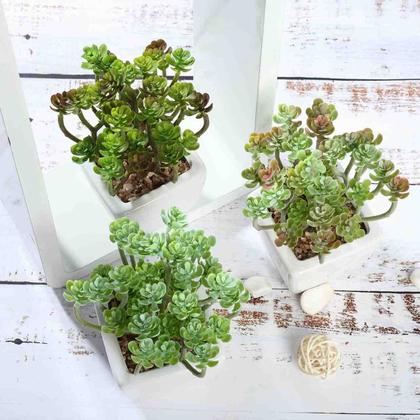 Imagem de 3 suculentas delicadas silicones 13cm planta artificial bonsai decoração enfeites não acompanha vaso - DE8863VD