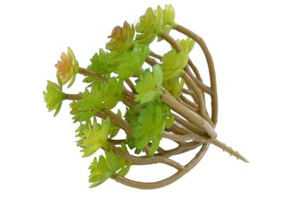 Imagem de 3 suculentas delicadas silicones 13cm planta artificial bonsai decoração enfeites não acompanha vaso - DE8863VD