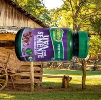 Imagem de 3 Suplemento Alimentar Uva com Semente Desidratada Unilife 60 Cápsulas  Escolha Saudável