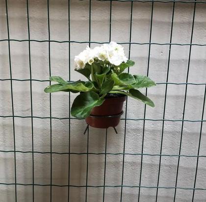 Imagem de 3 Suporte Anel Redondo Vaso Planta 9cm Palete Ripado Treliça